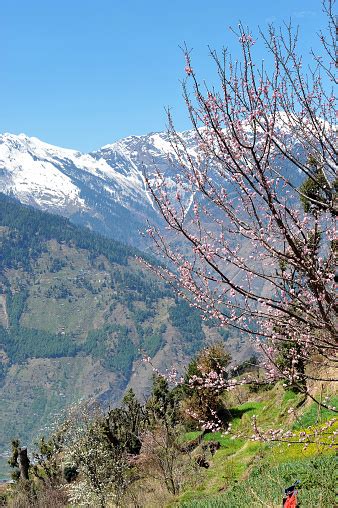 mountain range kullu valley himachal pradesh india stock photo