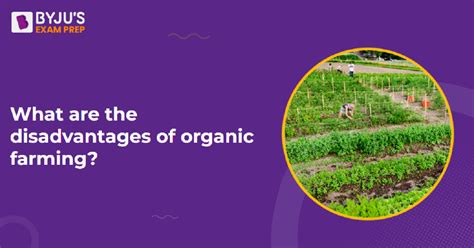 What Are The Disadvantages Of Organic Farming