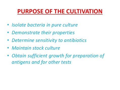 Cultivation Of Bacteria Ppt Nimisha