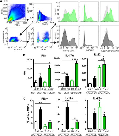 Flow Cytometric Characterization Of Chat Gfp T Cells A Lamina