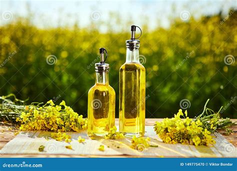 Canola De Las Botellas De Aceite De Rabina En Campo De La Violaci N Del