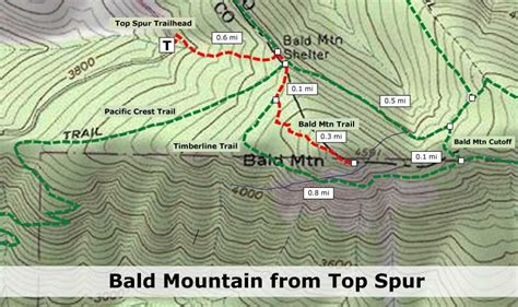 Bald Mountain From Top Spur Hike Hiking In Portland Oregon And