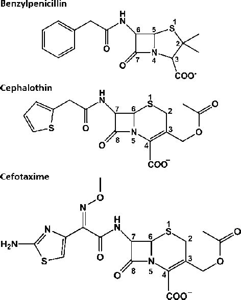 Structures Of Lactam Antibiotics Cefotaxime Cephalothin And