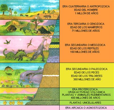 Lucas De La Walsh Eras Geol Gicas Y Formas De Vida