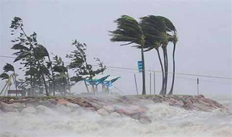 Cyclone Vardah: Tamil Nadu declares public holiday in coastal areas on ...