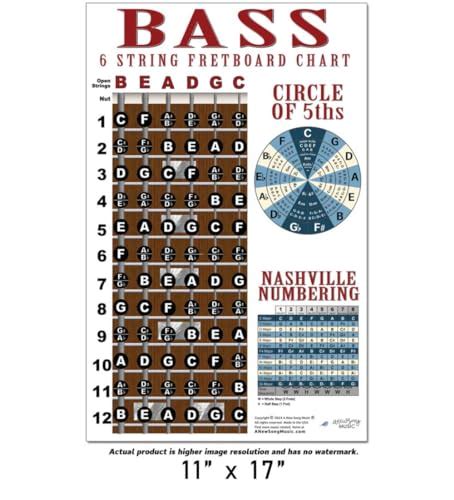 A New Song Music 6 String Bass Fretboard Poster Nashville Numbering System Circle Of 5ths