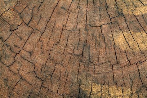 Old Tree Stump Texture Background 11043951 Stock Photo At Vecteezy