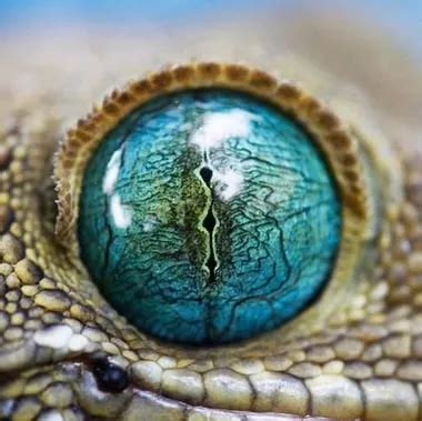 Sexy Russische MILF Neckt Vor Der Webcam XHamster