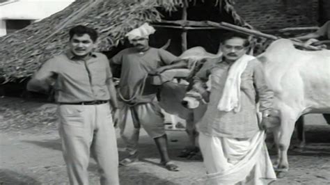 Akkineni Nageswara Rao And Vijaya Nirmala Old Telugu Movie Scene