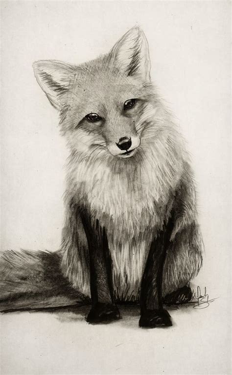 Art Now and Then: Fox Art