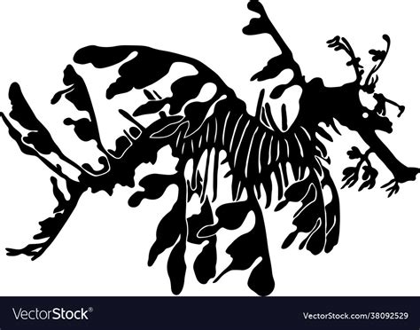 Leafy sea dragon Royalty Free Vector Image - VectorStock