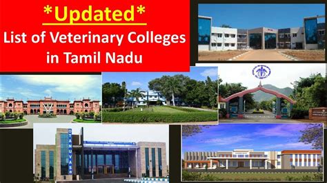 Best Veterinary Colleges In Tamil Nadu Bvsc Mvsc Phd In