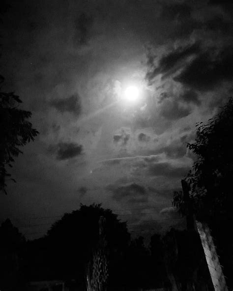 Night Sky Nature Black Black And White Dark Forest Moon Graphy