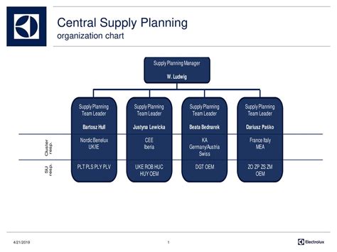 Central Supply Planning Organization Chart Ppt Download