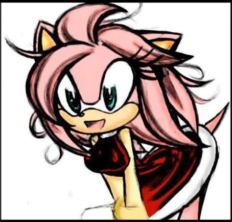 Amy Rose Cutie Colour Jazzy B Real Amy Rose Shadow And Amy Sonic