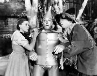 WIZARD OF OZ 8X10 PHOTO MOVIES TV PICTURE DOROTHY TIN MAN LION