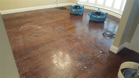 Hardwood Floor Cleaning, Revitalize Your Hardwood Floors - Ultra Clean ...