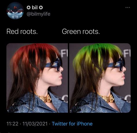 Billie eilish Green Roots and Red Roots | Red roots, Billie eilish ...