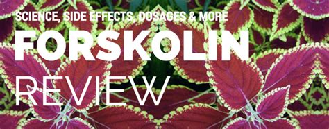 Forskolin Review - Science, Side Effects, Dosages & More