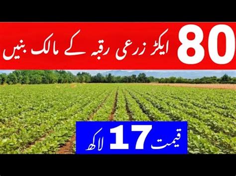 80 Acre Agriculture Land For Sale Sasta Zari Raqba YouTube