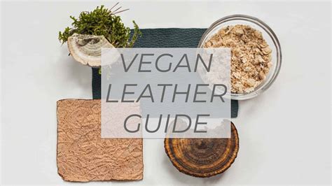 A Guide To Vegan Leather Sustainable Vegan Leather Alternatives