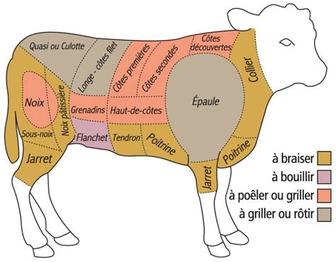 Le Veau Et Des Diff Rent Moyen De Cuisson Un Peut De Culture G N Ral