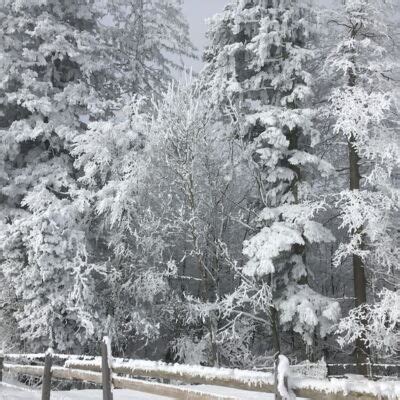 Schneeschuhtour Buochserhorn Von Niederrickenbach Einlauftour SAC