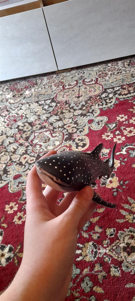 Babe wake up new shark just dropped : r/sharks