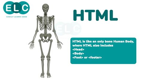 What Is Html How Does It Work Easily Learn Code