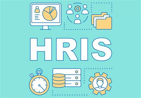 Hris 101 Everything You Need To Know About Hris