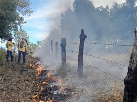 Semadet Realiza Quemas Controladas En Bosques Para Prevenir Incendios