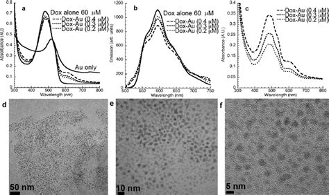 Characterization Of Audoxorubicin Conjugates A Uvvis Spectra Of Au