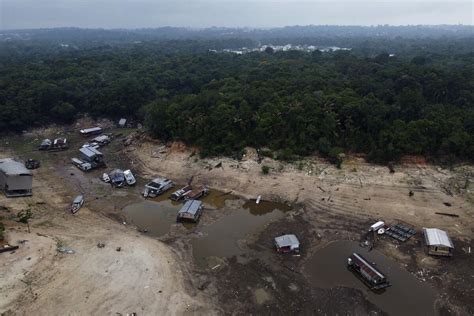 Por La Sequ A Mueren M S De Delfines En Amazon A Brasile A