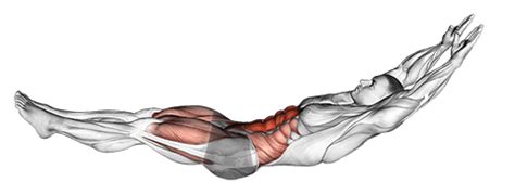 Comment calculer sa fréquence cardiaque maximum et gérer son cardio