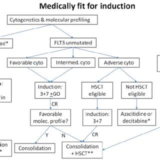 Treatment algorithm for older AML patients who are deemed not medically ...