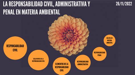 LA RESPONSABILIDAD CIVIL ADMINISTRATIVA Y PENAL EN MATERIA AMBIENTAL