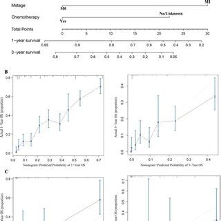 A Nomogram For Prediction Of 1 And 3 Year OS Rates Of Patients With