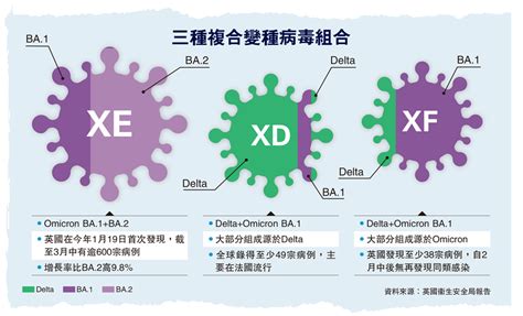 變種風暴變種變變變 揭xe病毒真相 大公報