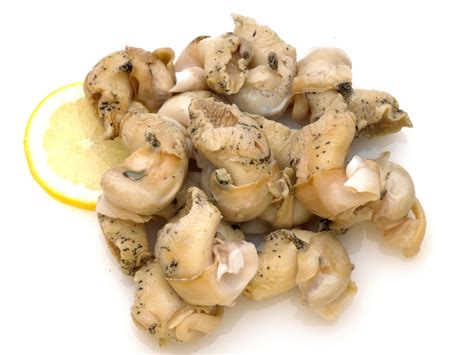 Whelk - Association of Seafood Producers