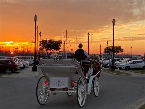 Horseshoe Bend Carriage Co.... - Horseshoe Bend Carriage Co.