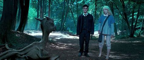 Harry And Luna Harry Potter Animals Luna Lovegood