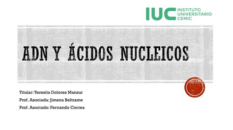 Solution Biolog A Celular Adn Y Cidos Nucleicos Studypool