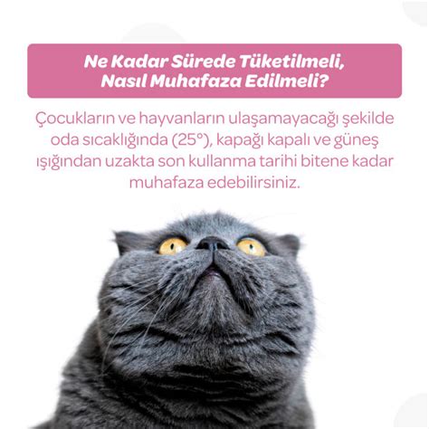 Vet s Plus Hamile ve Yavru Kediler için Multivitamin Malt Kedi Macunu