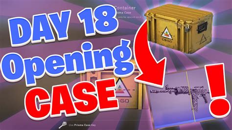 DAILY CSGO CASE OPENING DAY 18 PRISMA CASE YouTube