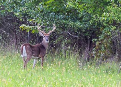 Hunt & Hike Maryland's Eastern Shore | VisitMaryland.org