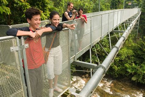 Tree Top Walk Sungai Sedim Kulim Malaysia Photos