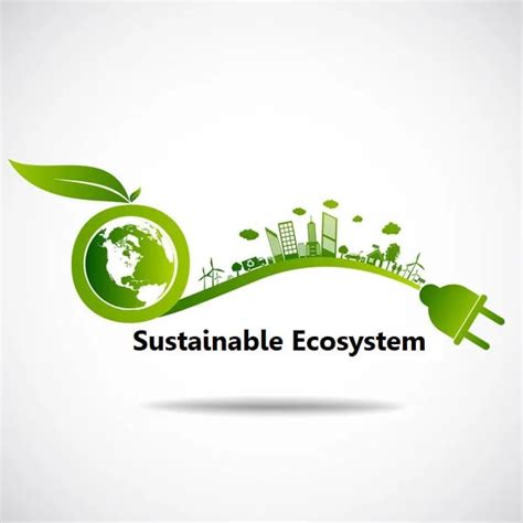 What is Sustainable Ecosystem? Everything you need to know