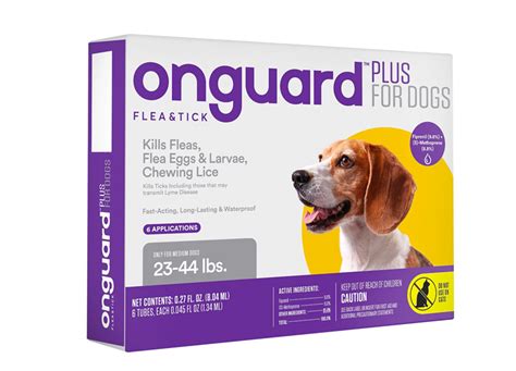 The 11 Best Flea Treatments for Dogs – PureWow