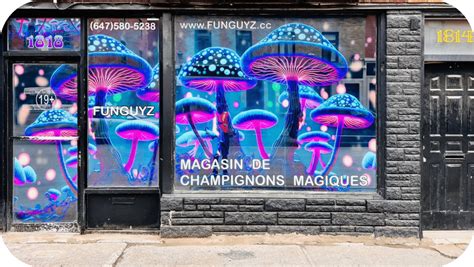 Funguyz Magic Mushroom Dispensary Hamilton