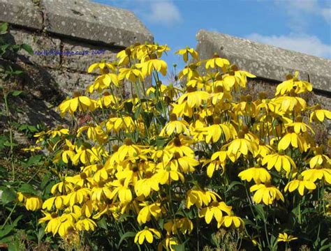 Chillingham Castle Northumberland